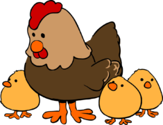 chicken, hen, cute-159496.jpg